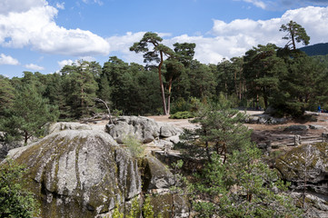Fototapete bei efototapeten.de bestellen   
