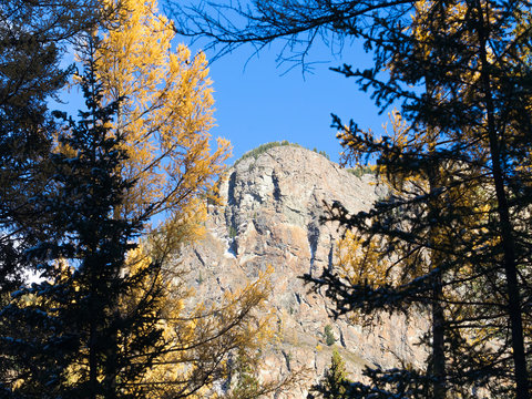 Fototapeta Nature window through the forest to the mountain.