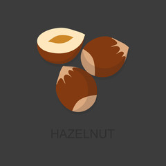 Icons hazelnut with shadow on a gray background