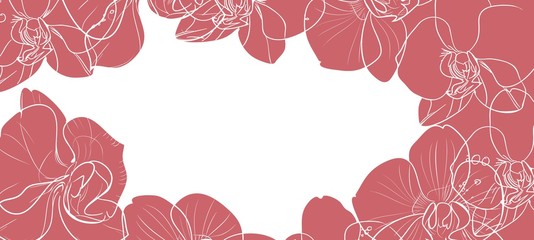 background with orchids