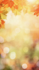 Autumnal fall in the forest, abstract environmental backgrounds