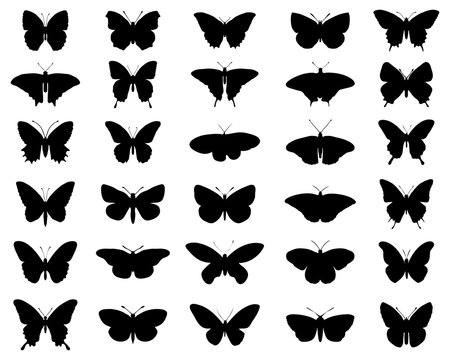 Black silhouettes of butterflies, vector