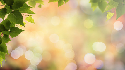 Obraz premium Jesienny spadek w lesie, abstrakcjonistyczni środowiskowi tła