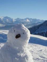 Obraz na płótnie Canvas snowman face