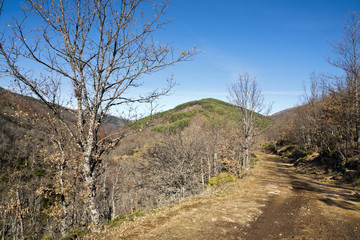 Camino de Riaza. Sierra Norte, Guadalajara