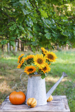 Beautiful bouquet of sunflowers in the garden