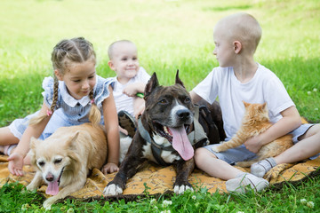 Sister and brother with a dogs and a cat