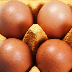 Brown Eggs Chicken Egg