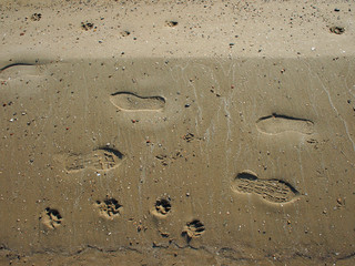 Top view of wet sand on the beach with tracks
