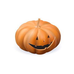Isolated realistic pumpkin
