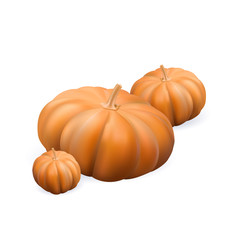 Isolated realistic pumpkin