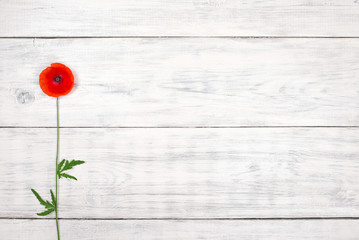 Naklejka premium red poppy on old white wooden table