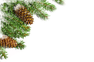 Christmas tree branches with cones on white background