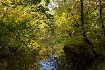 Fototapeta na wymiar Bäume und Sträucher neben Bach im Herbst