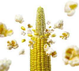 corncob explodes and produces popcorn healthy vegetarian food