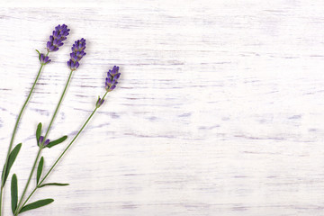 Naklejka premium lavender flowers on white wood table background
