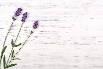 Photo sur Plexiglas Lavande fleurs de lavande sur fond de table en bois blanc