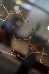 The first DNA & molecule plate model