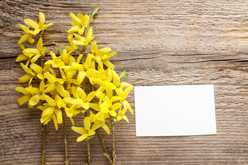 Forsythia on wooden background.