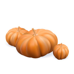 pumpkin vector , Isolated realistic pumpkin