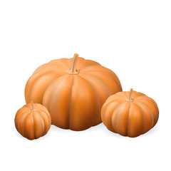 pumpkin vector , Isolated realistic pumpkin