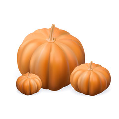 pumpkin vector , Isolated realistic pumpkin