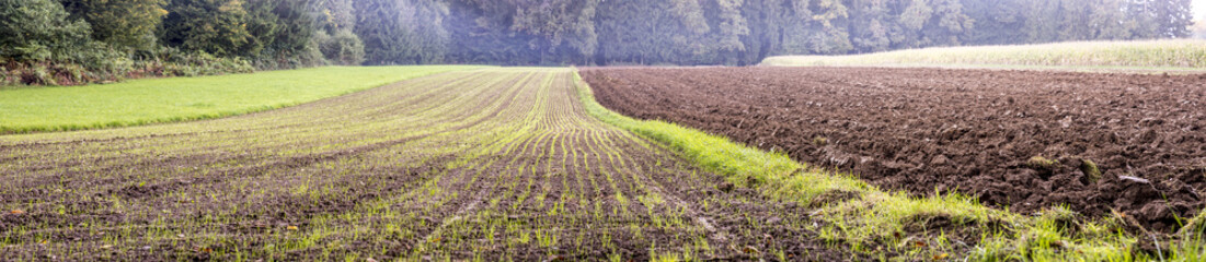 Fototapeta na wymiar Beautiful panorama view of agricultural area