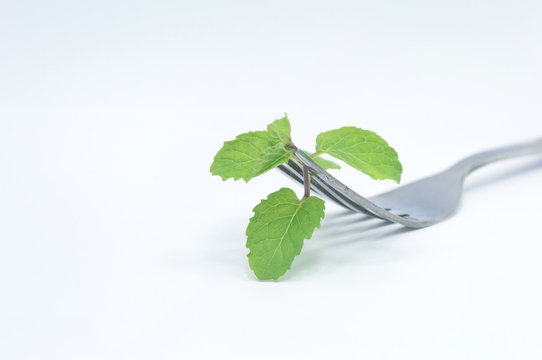 fork with mint herb