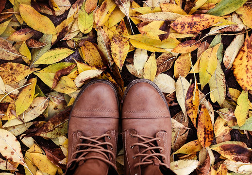 Pisando sobre hojas caidas de oto&ntilde;o