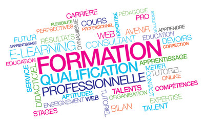 Formation professionnelle qualification emploi pro e-learning à distance compétences nuages de mots couleurs texte multicolore - obrazy, fototapety, plakaty