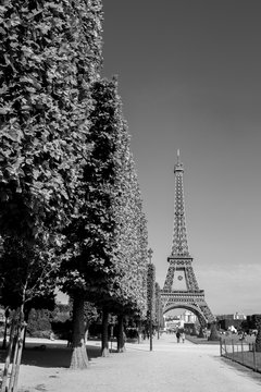 Fototapeta Eiffel tower, Paris, black and white image