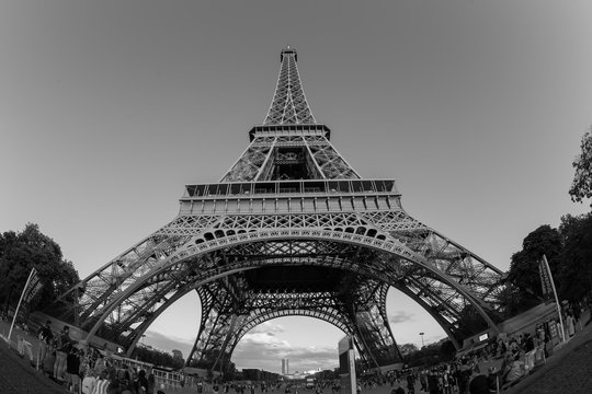 Fototapeta Eiffel tower, Paris, black and white image