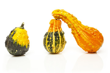 Colorful Gourds