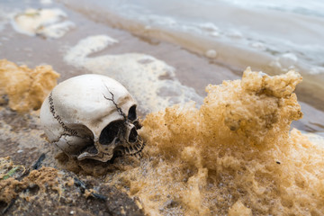 skull head