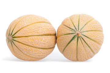 Muskmelon