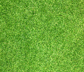 Obraz premium Golf Courses green lawn