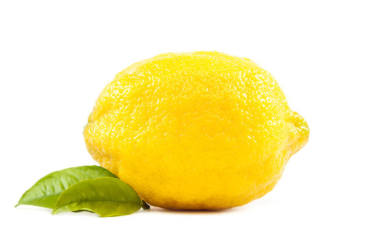 Fresh lemon fruit with green leaves.