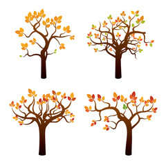 Set of Color Autumn Trees. Vector Illustration.