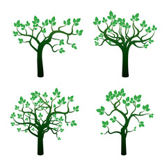 Obraz premium Set of Green Trees. Vector Illustration.