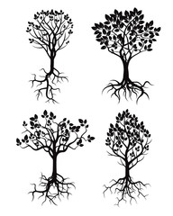 Obraz premium Set of Black Tree and Roots. Vector Illustration.