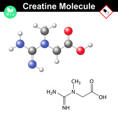 Creatine molecule