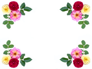 Roses border for card 