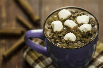 cup of hot chocolate with cinnamon and marshmallows on wooden background