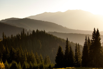 Beautiful Carpathian mountains in autumn