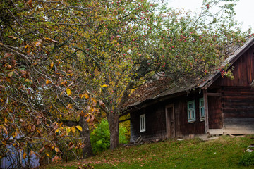 Small village in autumn Carpathian mountains