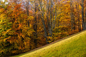 Obraz premium Beautiful Carpathian mountains in autumn
