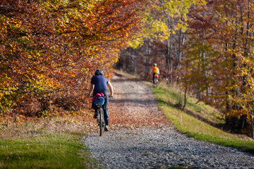 Mountain biker in autumn forest