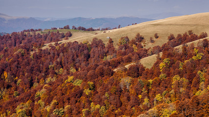 Beautiful Carpathian mountains in autumn