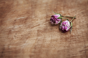 Dry tea roses on the old wood background
