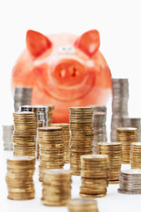 Sparschwein mit gestapelten Euro Münzen,  weisser Untergrund